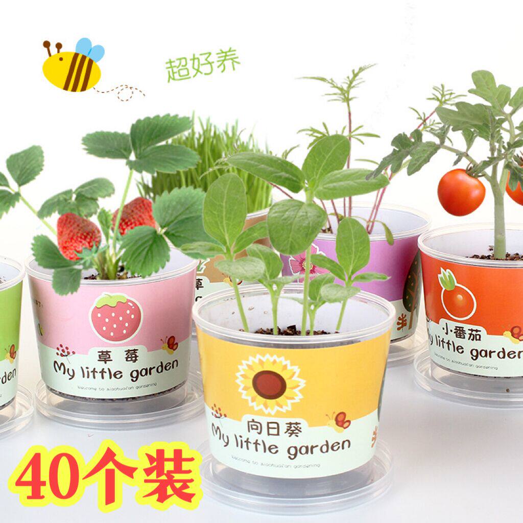 新奇特幼儿园全班分享生日礼物