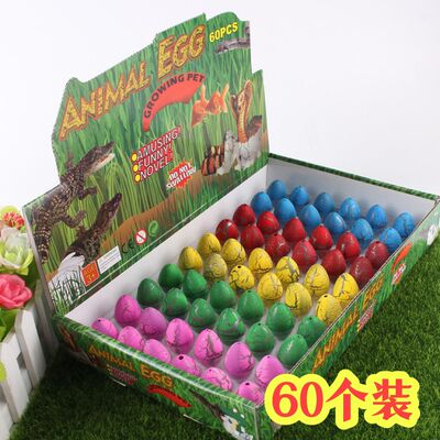 恐龙蛋孵化蛋地摊可水养盲盒