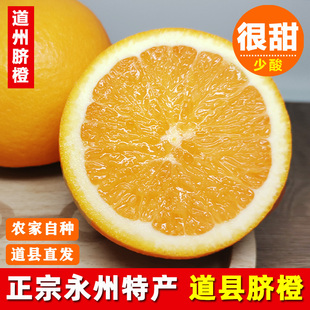 正宗道州脐橙湖南永州特产道县脐橙现摘新鲜水果应季手剥甜橙子