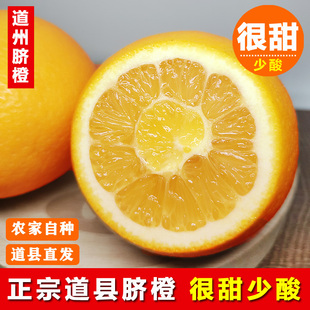 正宗道州脐橙湖南永州特产道县橙子新鲜水果现摘农家手剥甜橙