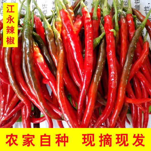 湖南二荆条弘果农家自种现摘