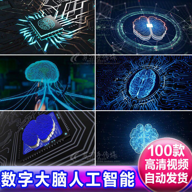 数字大脑记忆 人工智能概念网络连接 AI云技术高科技动画视频素材