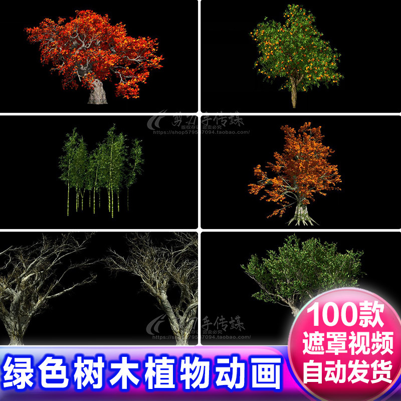 绿色果树热带植物树木alpha透明通道 绿幕动画视频免抠像遮罩素材