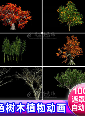 绿色果树热带植物树木alpha透明通道 绿幕动画视频免抠像遮罩素材