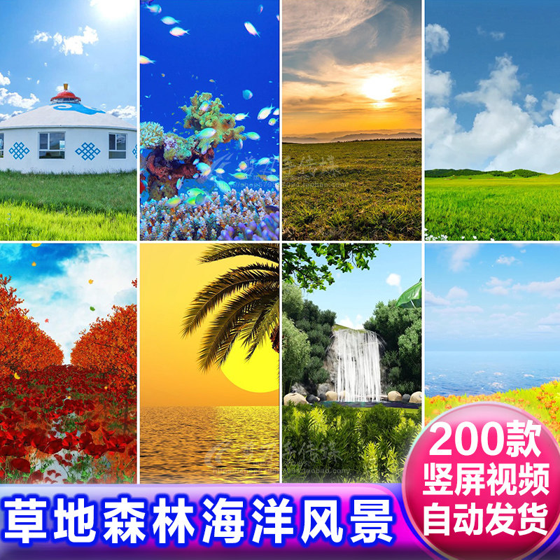 绿色草原草地自然风景海底世界鱼群魔法森林竖屏直播背景视频素材