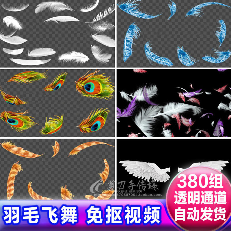 白彩色孔雀羽毛飞舞飘落动画 alpha透明通道免抠像视频带遮罩素材