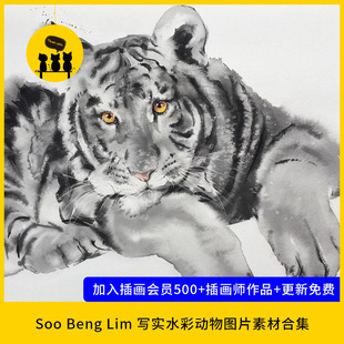 Beng Soo Lim写实水彩动物猫大熊猫图片作品素材678张 1522