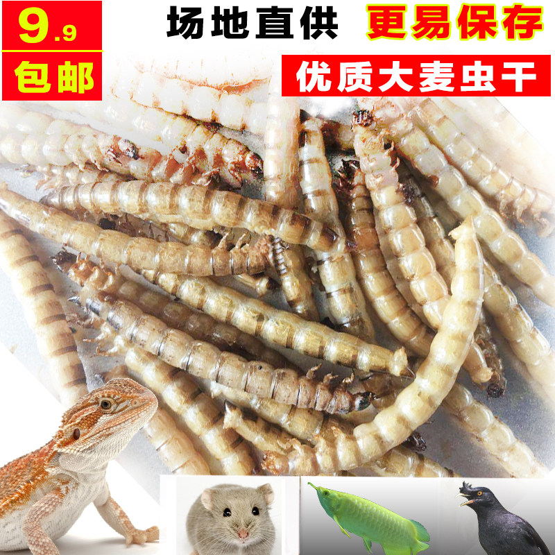 大麦虫干黄粉虫面包虫干仓鼠粮食金丝熊零食刺猬饲料龟鸟主粮包邮在类目 宠物/宠物食品及用品, 仓鼠类及其它小宠, 小宠用品（新）, 其他中 - 来自Buy2taobao.com提供专业的淘宝代购服务