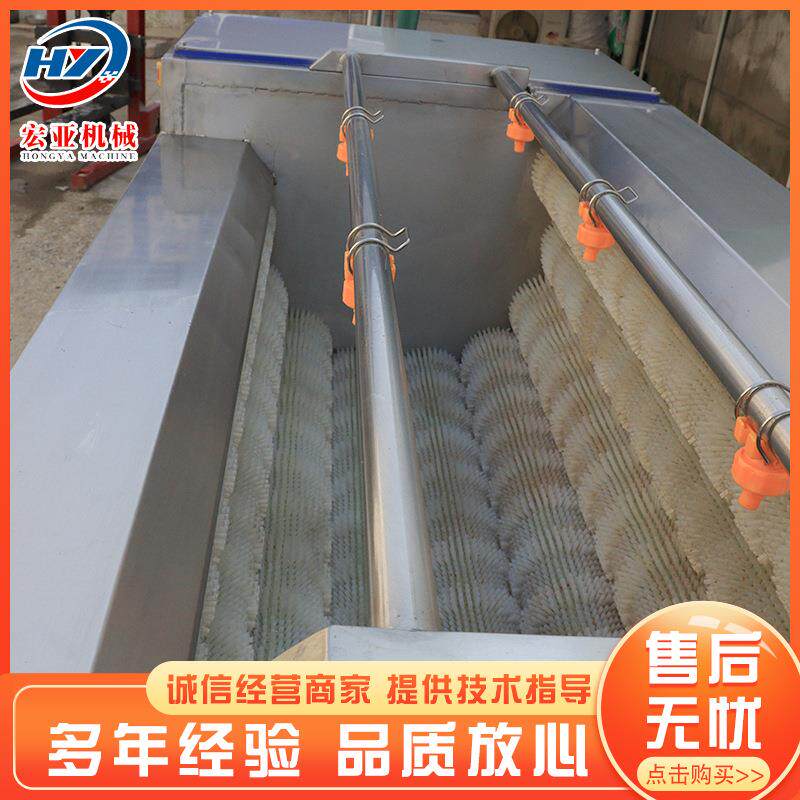 现货根洗茎类毛辊清去皮机  毛刷清洗去污泥机设备藕土毛辊清洗豆