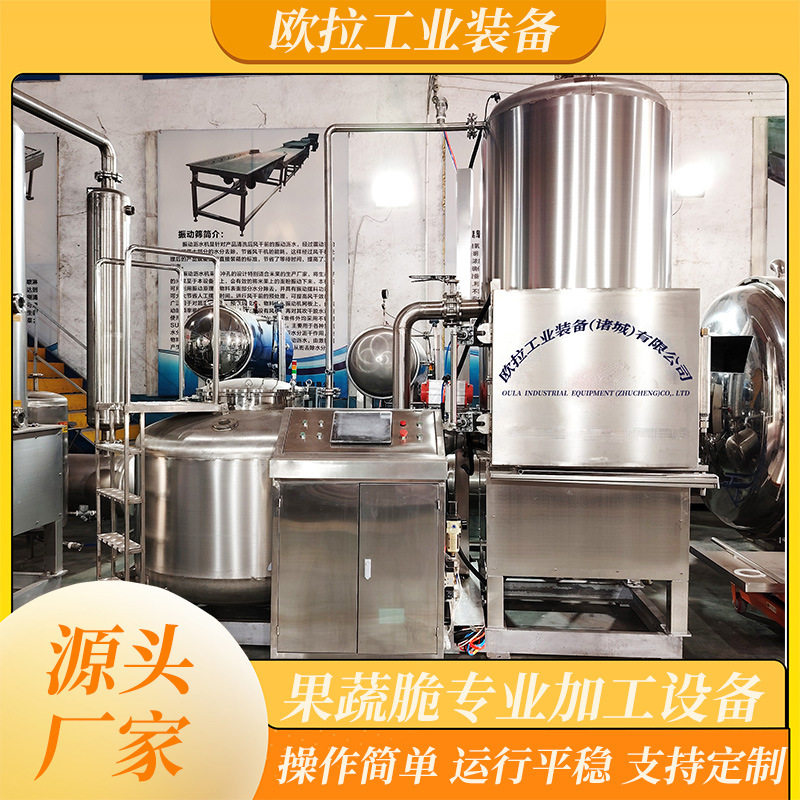 欧拉真空油炸机果蔬脆低温油炸机械秋葵脆酥脆豆角加工设备