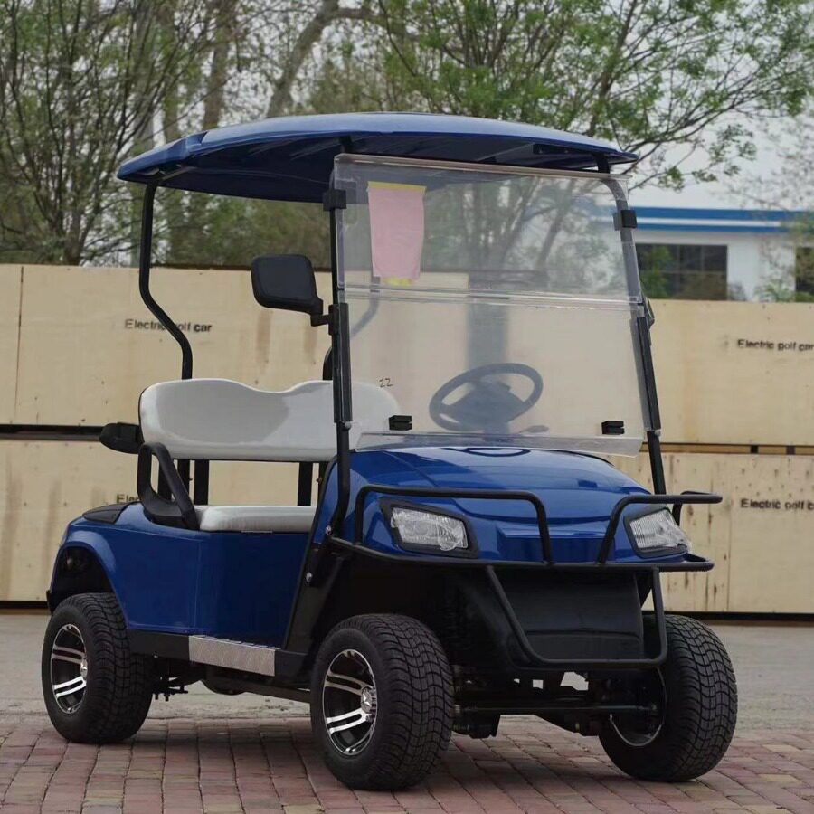 中国制造新能源2座成人电动高尔夫车游览观光车4000W