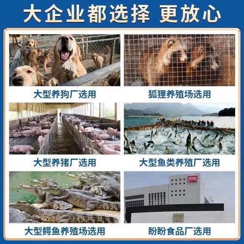 大型破碎绞肉All大功率绞肉机商用整猪碎骨冻货猪骨牛骨粉碎机