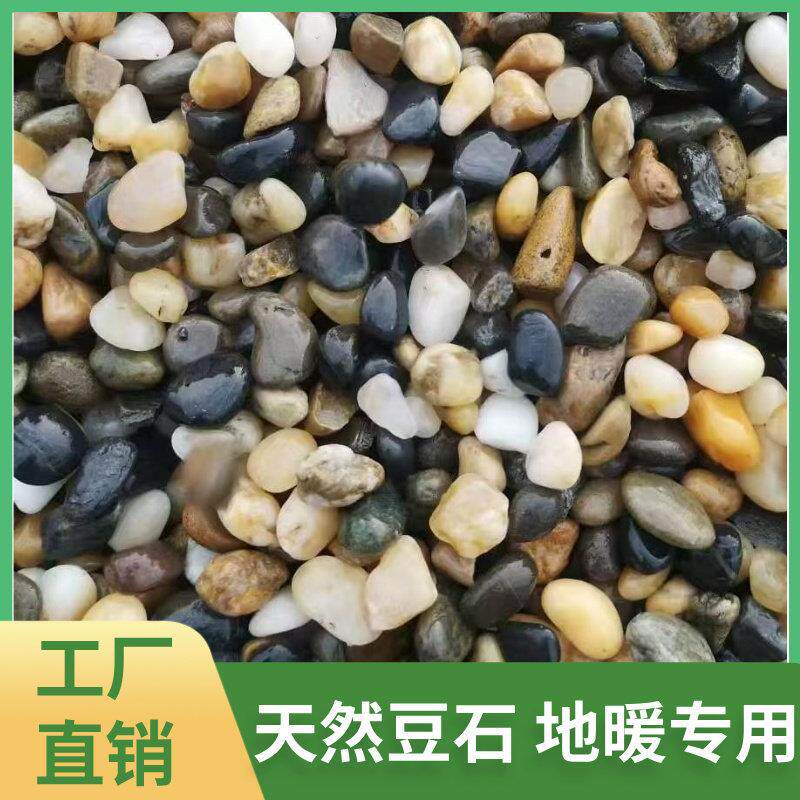 山东沼泽过滤石头地暖找平回填专用豆石水洗滤料水处理石子