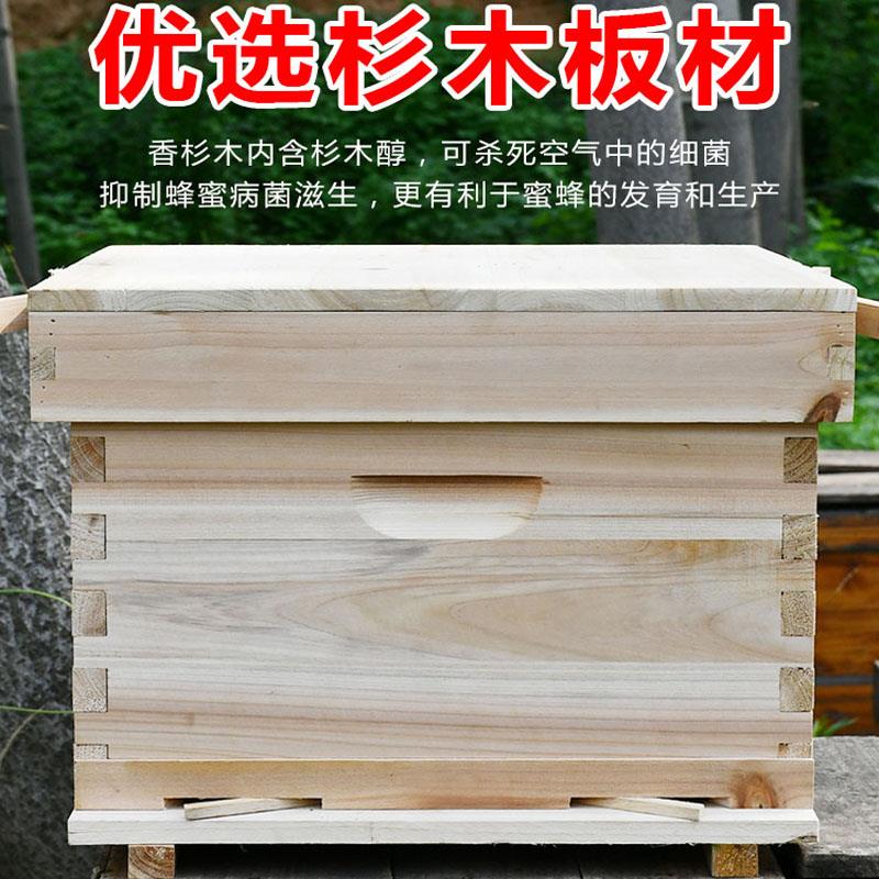 福美养蜂 中蜂蜂箱蜂箱全套十框养蜂箱杉木烘干诱蜂蜂箱蜂箱