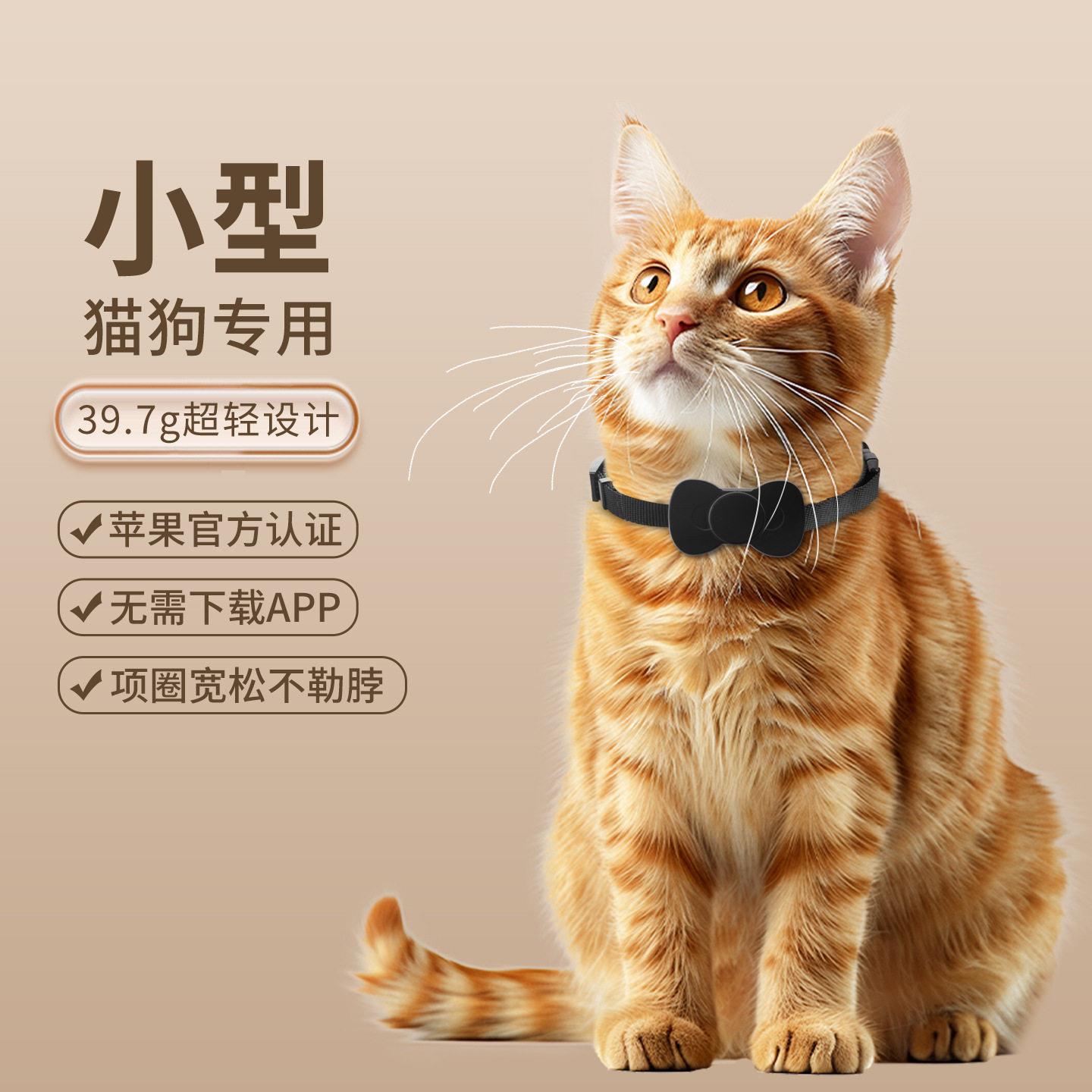 find my蝴蝶结小宠物项圈定位器防走失无线全球定位器追踪查找器