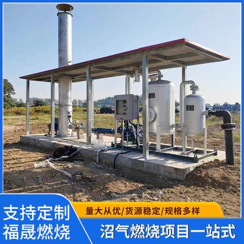 20立方小型沼气燃烧器沼气火炬沼气燃烧设备处理装置废气燃烧器
