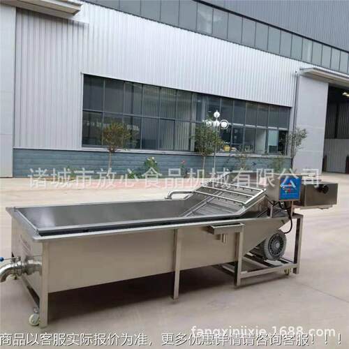 全自动果气泡清洗机生产厂家 蔬加清 洗机FX-600型号可工定做