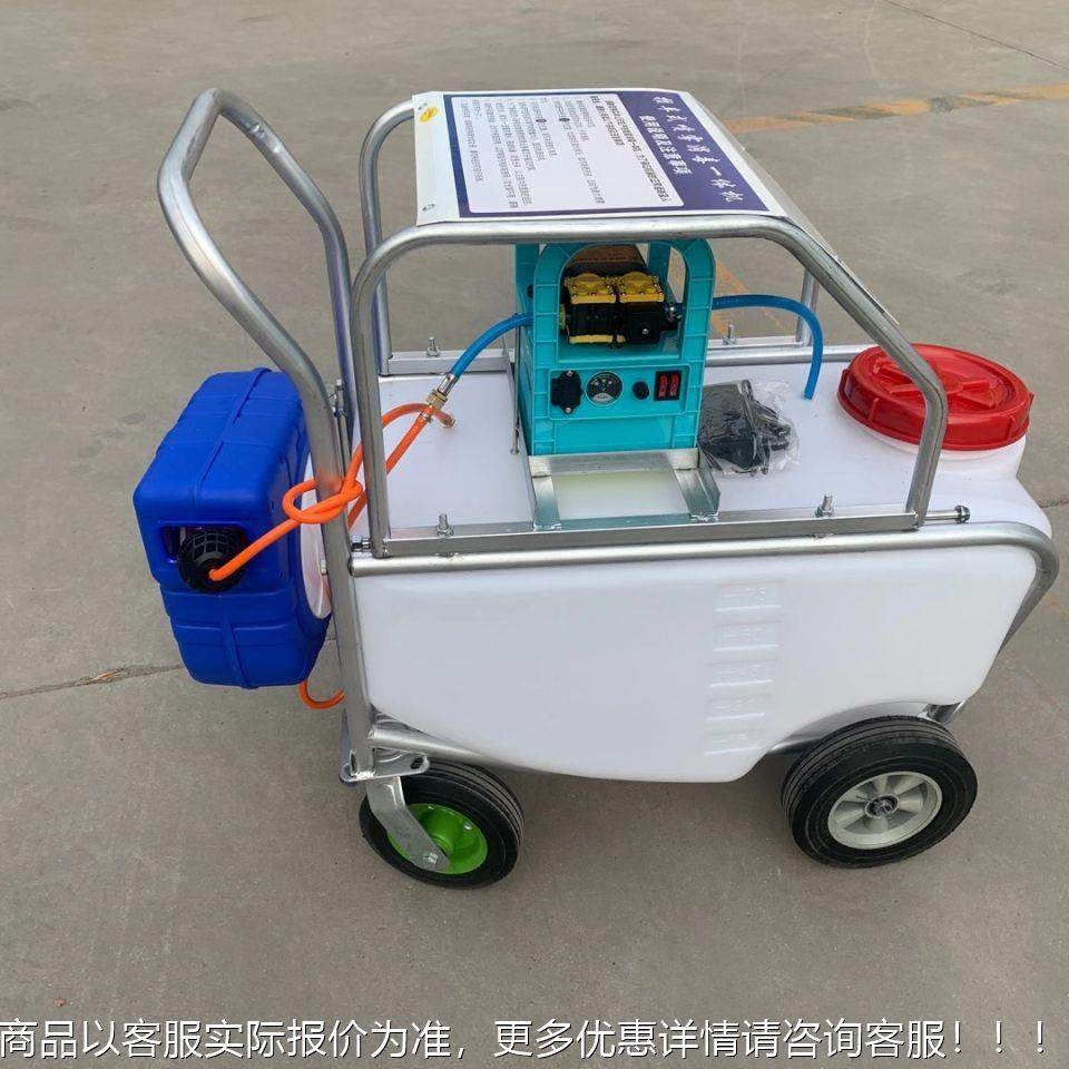 河南手推式汽油打药机 75升高 压远程喷机园虫林杀绿化JF150-12一,农机/农具/农膜,植保机械,淘宝优惠券,粉丝福利购,淘宝优惠卷