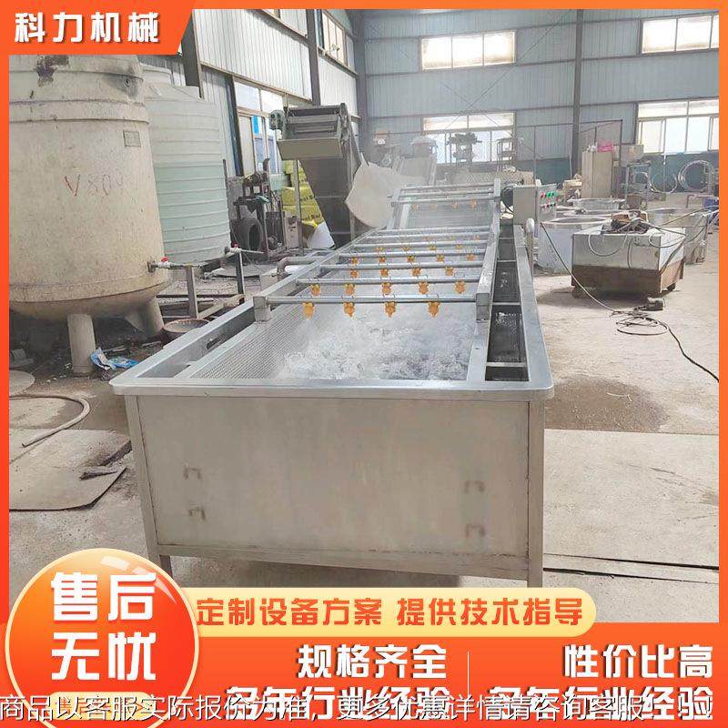 不锈钢商用果蔬洗机清厂家 RVE泡洗清自动洗菜机 蔬菜气清洗漂烫,清洗/食品/商业设备,果蔬加工设备,淘宝优惠券,粉丝福利购,淘宝优惠卷