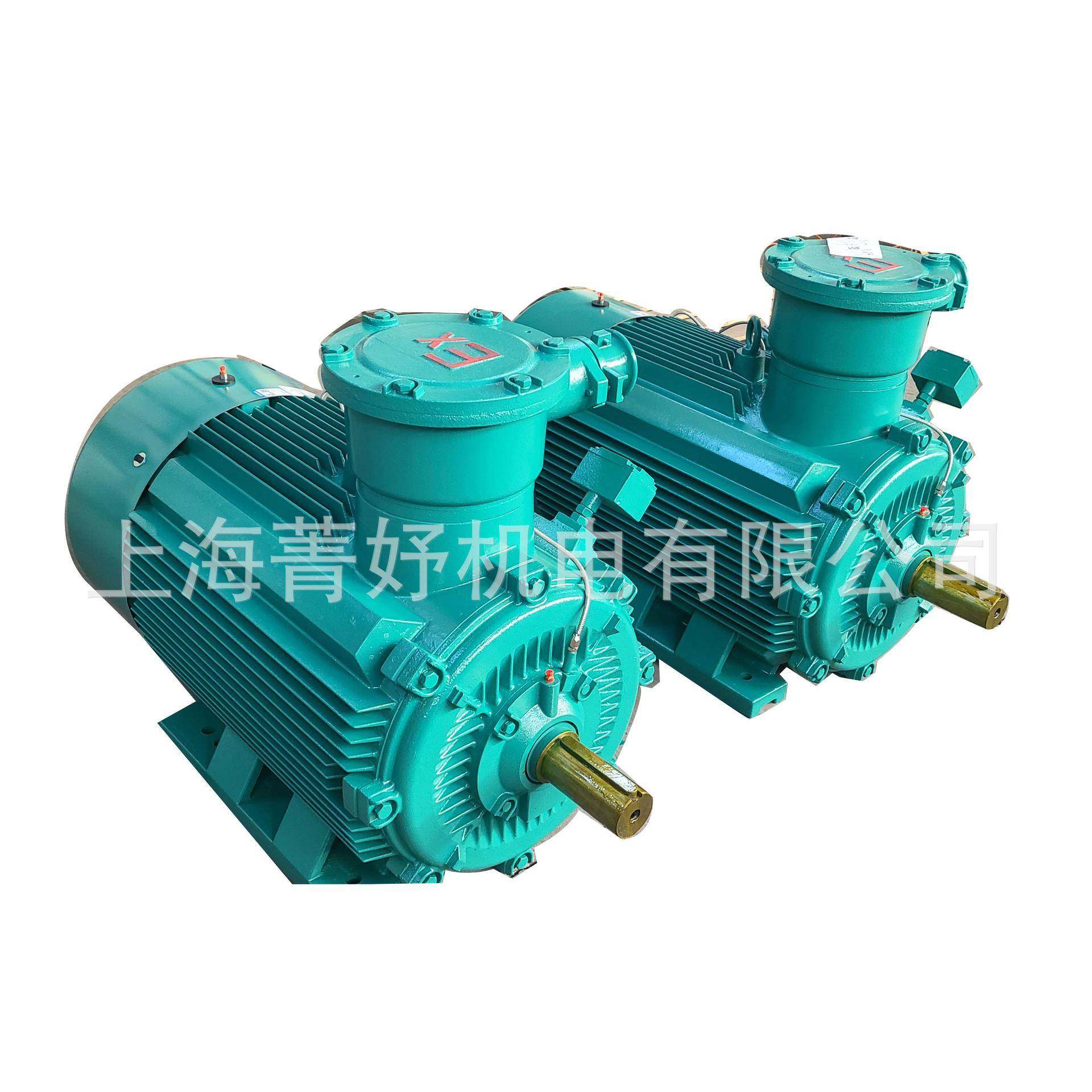 供应隔爆电机YBX3-355M2-10-132W;YBX3-355L1-10-160W水泵电机