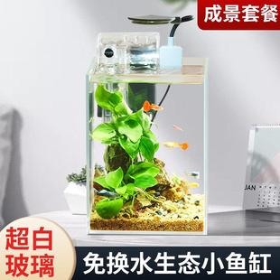 创意生态鱼缸超白造景懒人微景观DIY室内客厅迷你生态瓶免换水