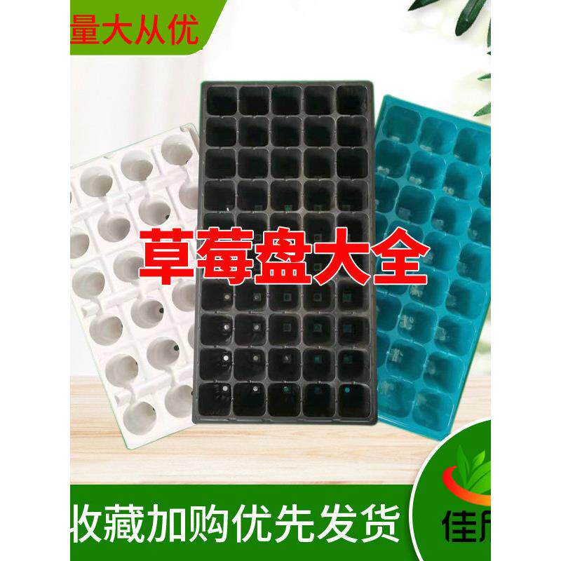 加厚24孔滴灌带草莓桉树构树育苗盘32孔/50孔林木高脚育秧盘穴盘