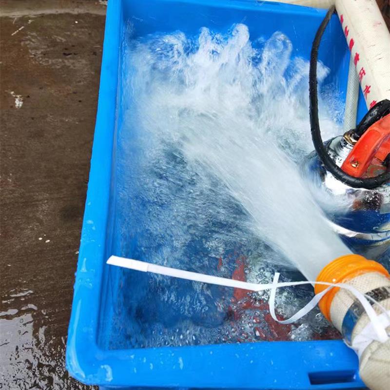 2寸大流量高扬程12V24V直流潜水泵货车加水船用电瓶泵灌溉大功率