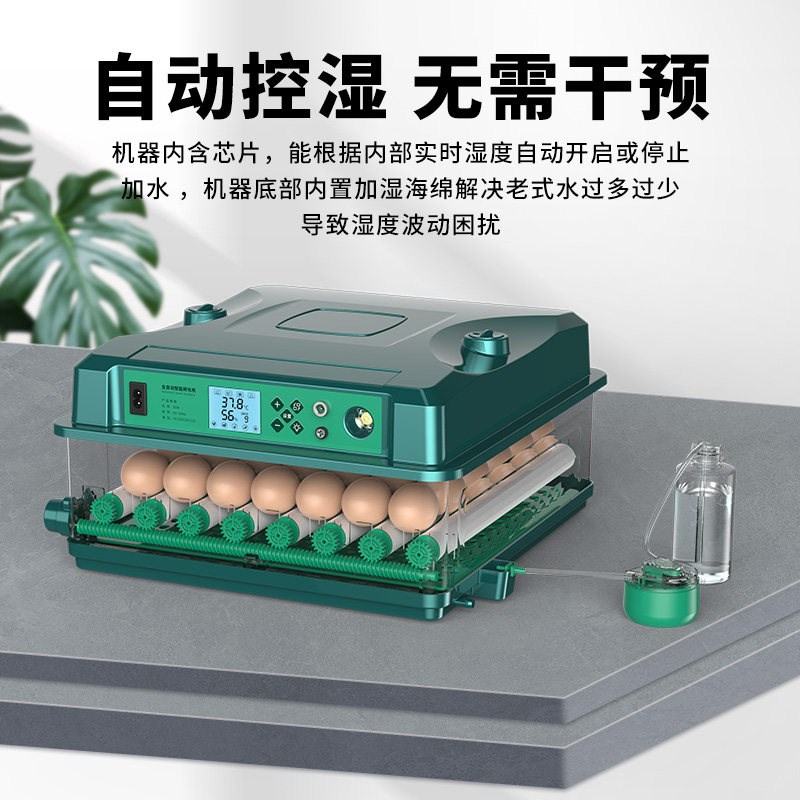 孵蛋器芦丁鸡小鸡孵化器小型家用智能孵化机全自动鹦鹉鹌鹑孵化箱