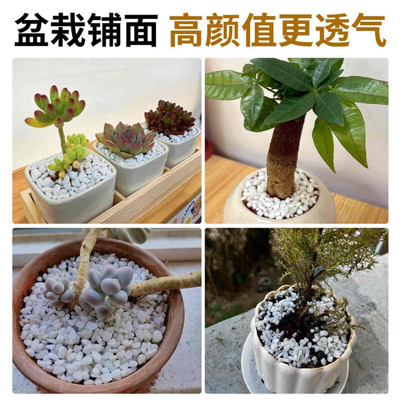 小白石子庭院造景鱼缸鹅卵石原石天然颗粒养花多肉盆栽装饰铺面石