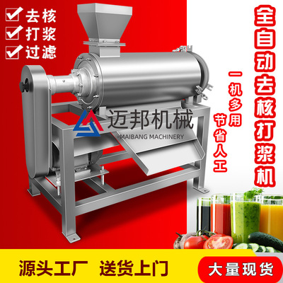 现货供应樱桃去核打浆机 商用西梅去核去皮打浆机 果酒加工设备