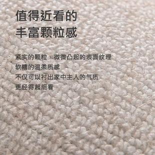 茶几毯卧室2023新款 客厅地毯冬季 秋冬天地垫家用免洗沙发高级轻奢