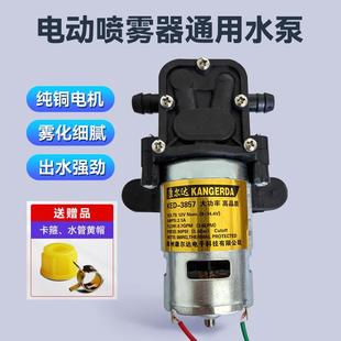 农用电动喷雾器水泵隔膜泵12V马达隔膜泵电机农用打药机配件大全