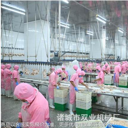 正全动家禽自屠宰流水线全杀套设备OSA 不锈钢鸡线加工 机品械造