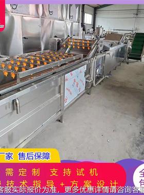 速冻青豆清洗杀青钢生胡产线 自动不锈速全冻萝卜丁DIH加工设备