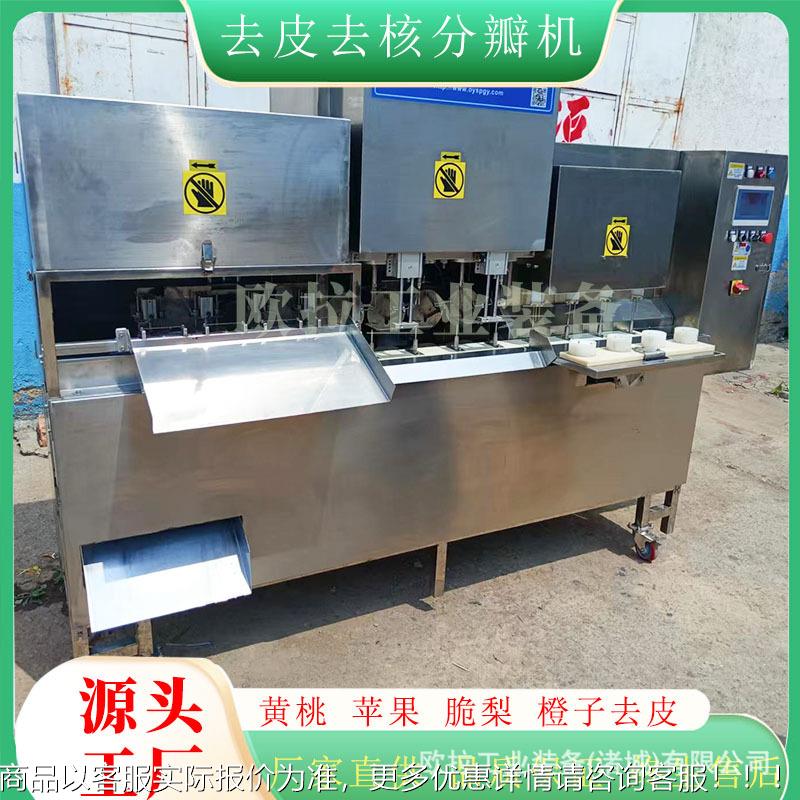 水果罐头加工UYI设备 自动橙子全削皮机毛去 黄桃桃削皮核分瓣一