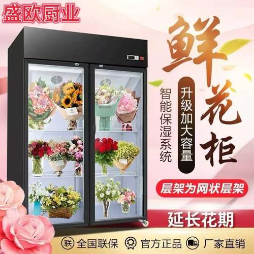 鲜花保鲜柜商用风冷双开门立式花店玻璃冷柜植物柜陈列冷藏展示柜
