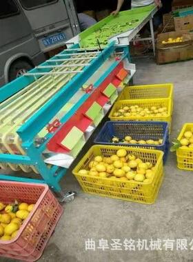 甘子芭乐小黄金选果机 小型柠檬CGL自油动筛机选 滚筒式陈柑分皮