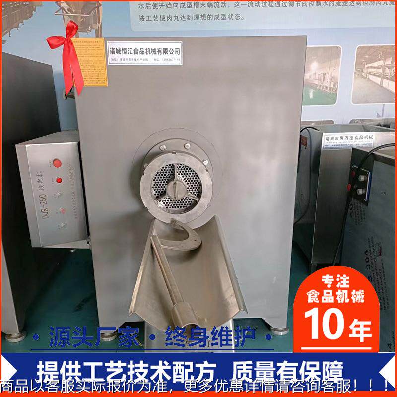 大机型骨商用 破碎冻盘绞肉 恒汇250型冻鲜绞LEC肉机厂家工业带绞