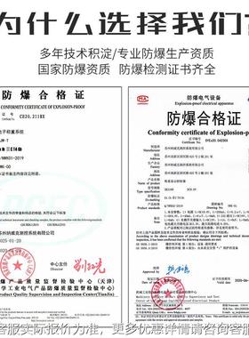 秤车本安车型防爆电TJX子秤叉秤3吨液压叉搬运称插车地牛地磅