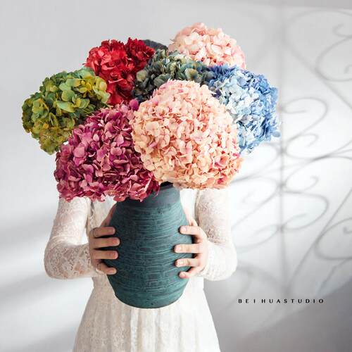 永生花DIY材料绣球真花花束 北欧家居餐桌摆放干花拍摄道具保鲜花
