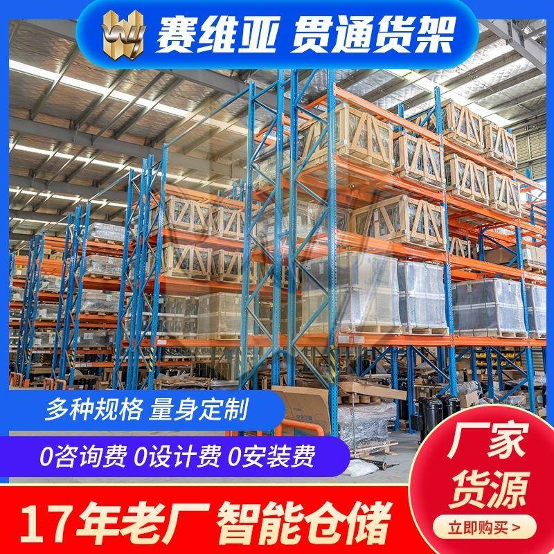 贯通式穿梭货架冷库驶入立体式组合货架托盘仓储高位重型货架