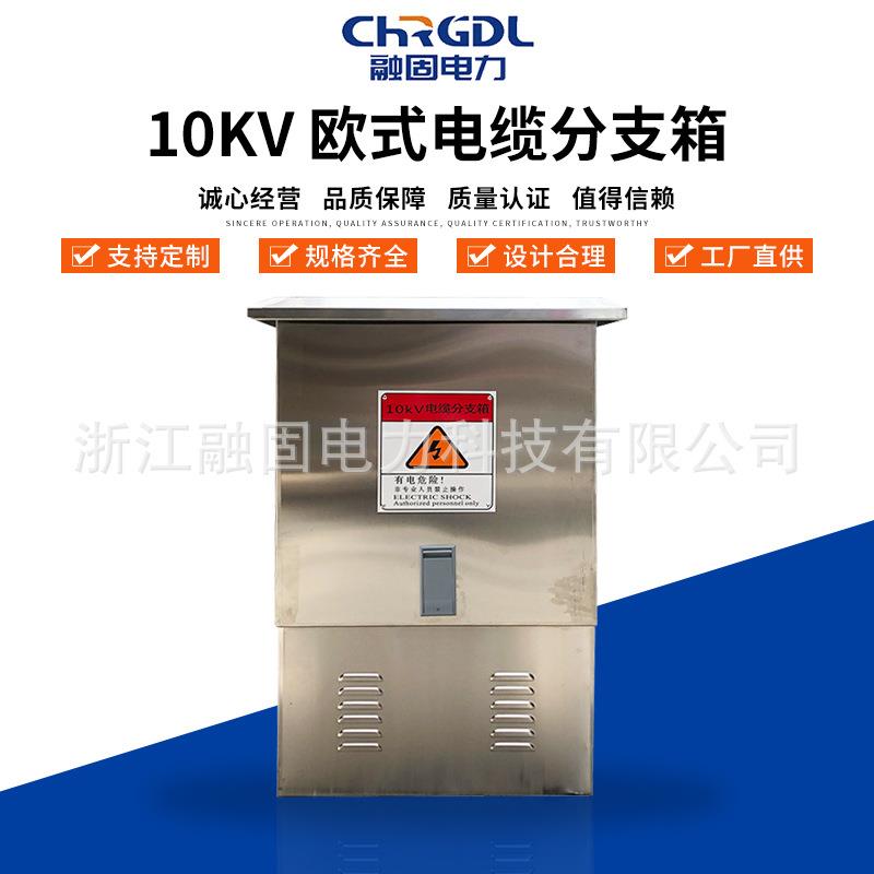 现货整套高压户外对接分接箱不锈钢防水绝缘欧式10KV电缆分支箱