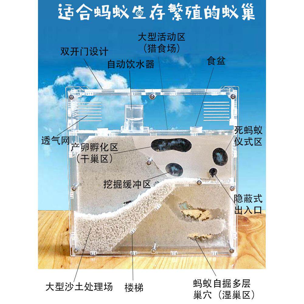 蚂蚁工坊适合各种蚂蚁城堡生态亚克力蚁巢蚁箱宠物产卵繁殖窝家园