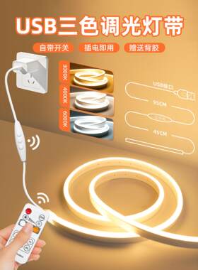 卧室床头三色变光氛围灯带5V电视背景墙usb遥控可调色定时led灯条