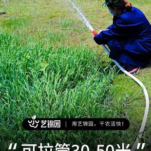 水泵电动抽水机家用潜水泵12v浇菜小型浇水机直流电抽水机