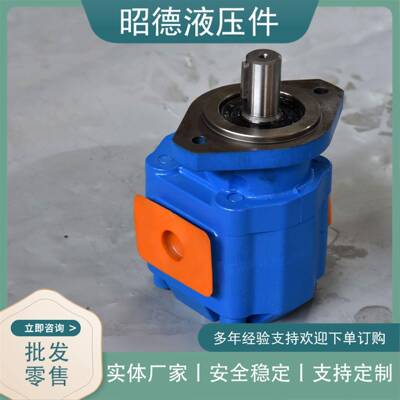 渔船马达齿轮马达扫雪车液压马达OMR-250131M0396摆线马达