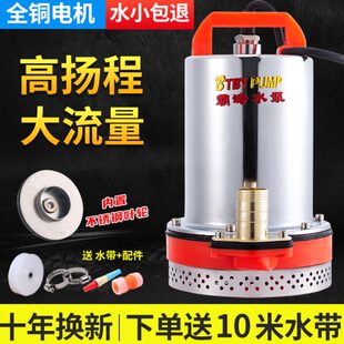 直流潜水泵48V60V72伏家用电动车水泵12V24V瓶小型农田灌溉抽水机