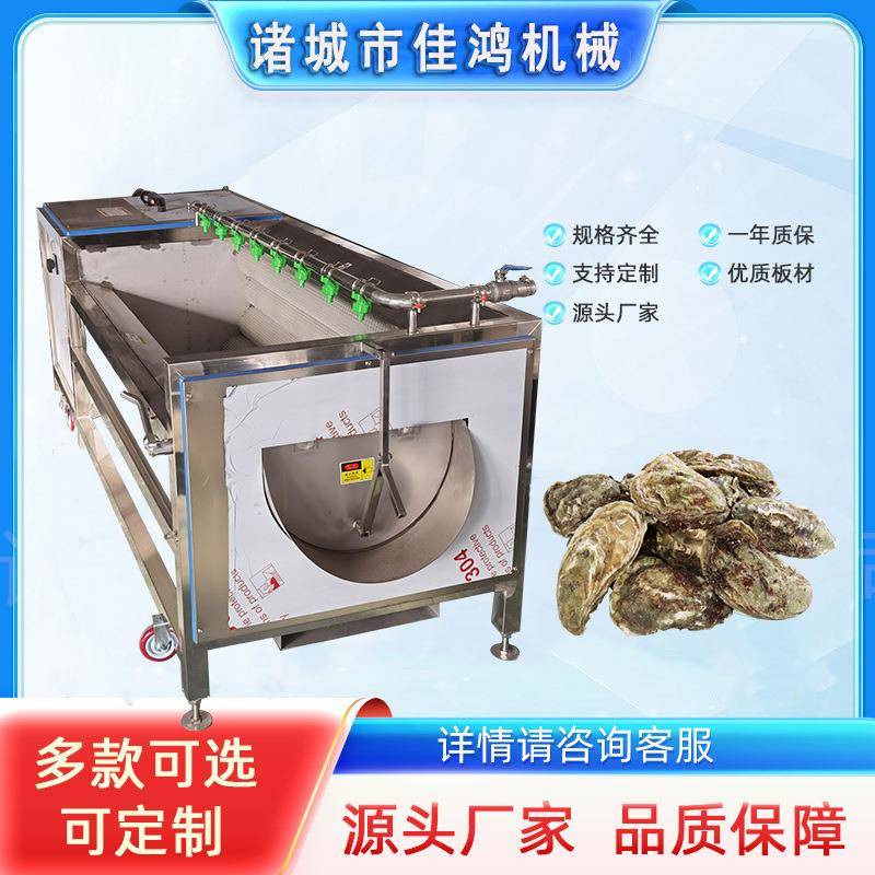 全自动毛辊清洗机大姜芋头去皮清洗机海螺海虹去泥清洗机