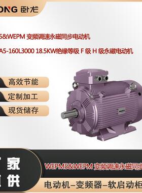 WEPMA5-160L300018.5W绝缘等级F级H级永磁电动机