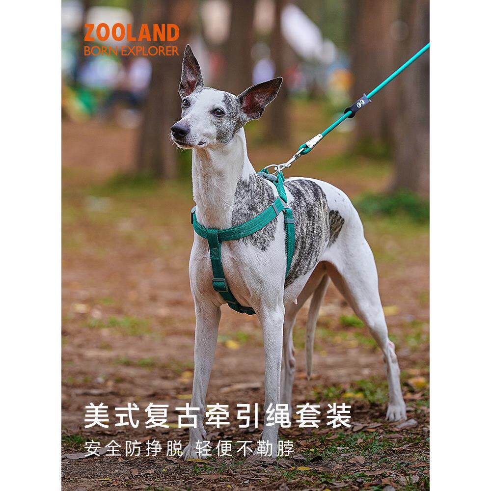 Zooland狗的胸部和背部牵引绳行走宠物,小型和中型狗,比雄卷毛